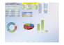 do ms excel data entry, data automation, summarization,visualization,formattng